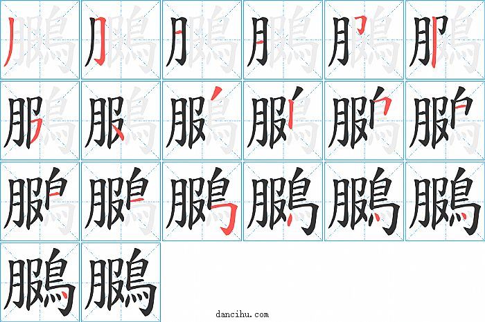 鵩字笔顺分步演示图