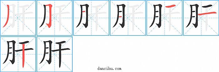 肝字笔顺分步演示图