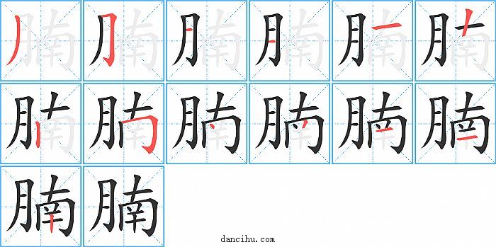 腩字笔顺分步演示图