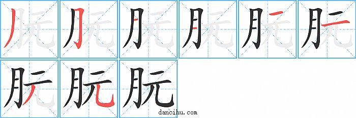 朊字笔顺分步演示图