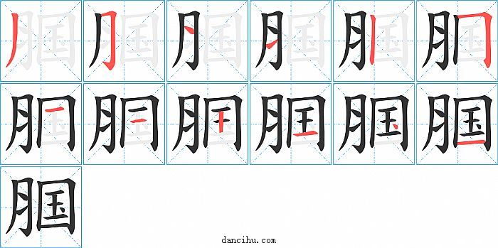 腘字笔顺分步演示图