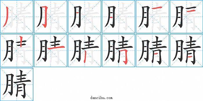 腈字笔顺分步演示图