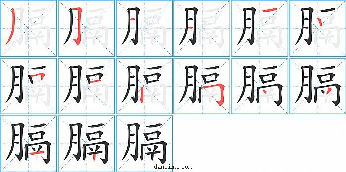 膈字笔顺分步演示图