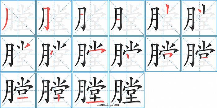 膛字笔顺分步演示图