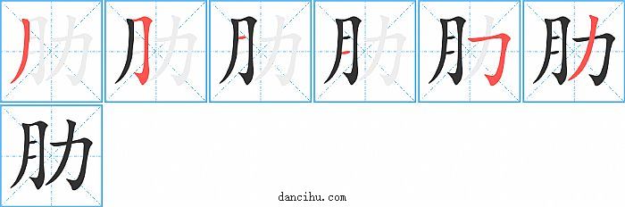 肋字笔顺分步演示图