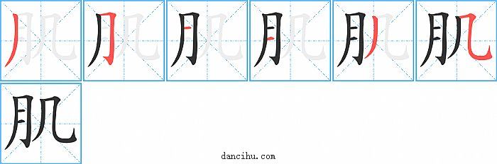 肌字笔顺分步演示图