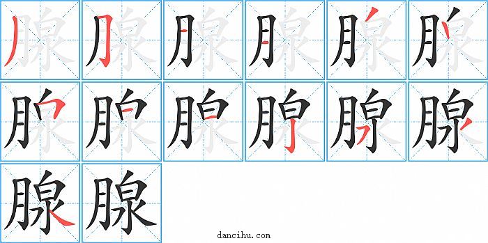 腺字笔顺分步演示图