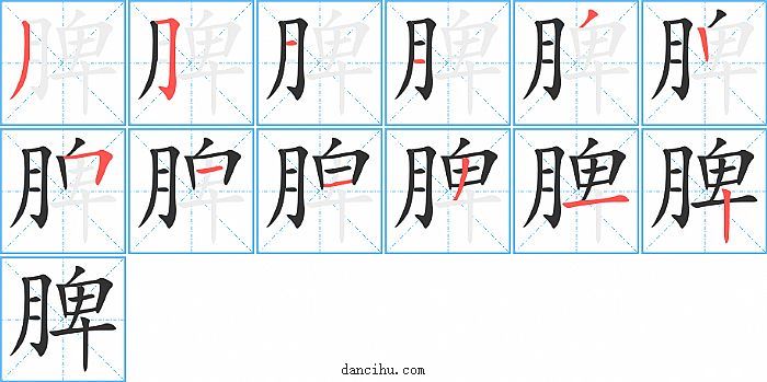 脾字笔顺分步演示图