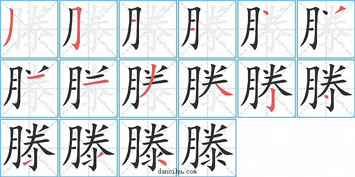 滕字笔顺分步演示图