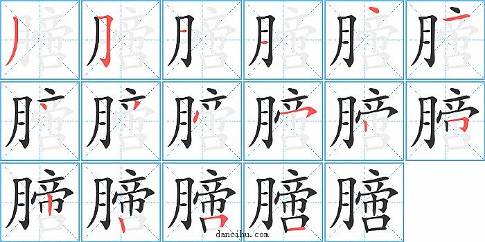 膪字笔顺分步演示图