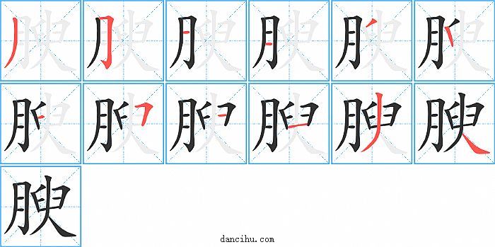 腴字笔顺分步演示图