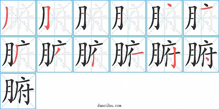 腑字笔顺分步演示图