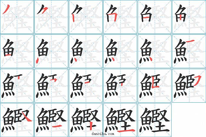 鰹字笔顺分步演示图