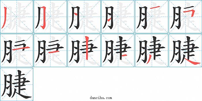 脻字笔顺分步演示图