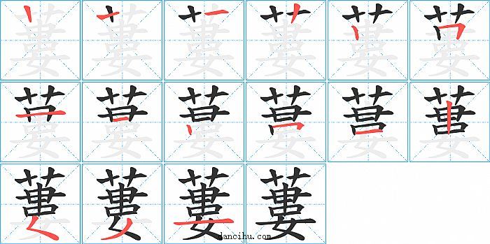 蔞字笔顺分步演示图