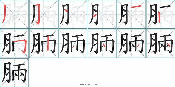 脼字笔顺分步演示图