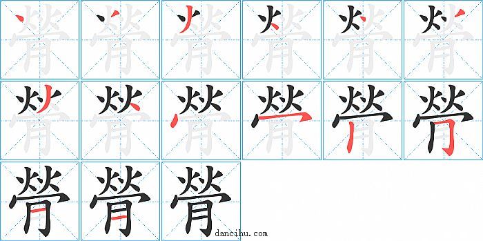 膋字笔顺分步演示图