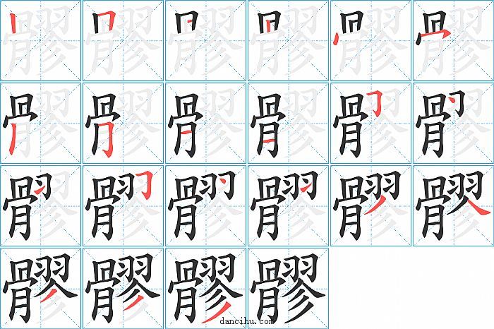 髎字笔顺分步演示图