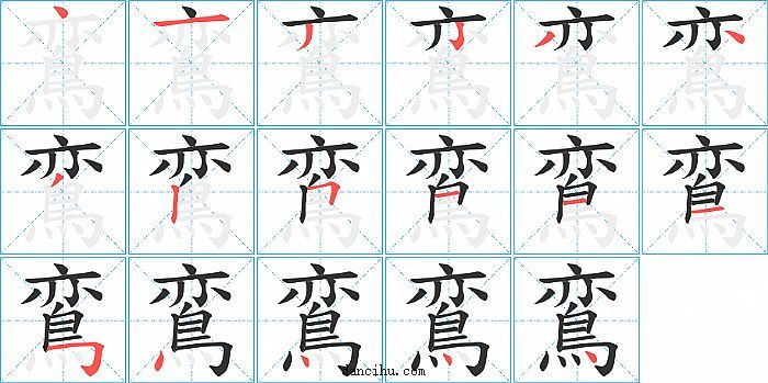 鵉字笔顺分步演示图