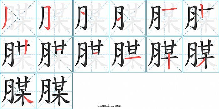 腜字笔顺分步演示图