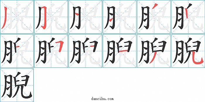 腉字笔顺分步演示图