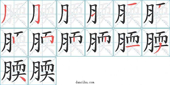 腝字笔顺分步演示图