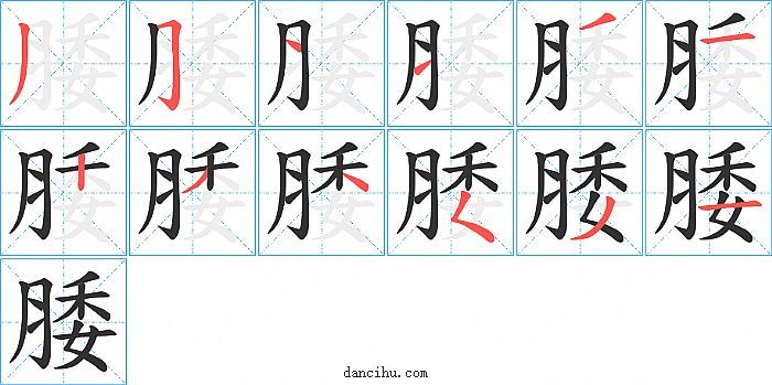 腇字笔顺分步演示图