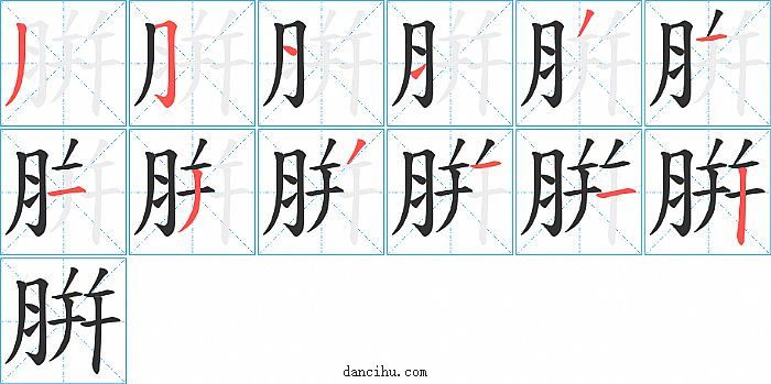 腁字笔顺分步演示图