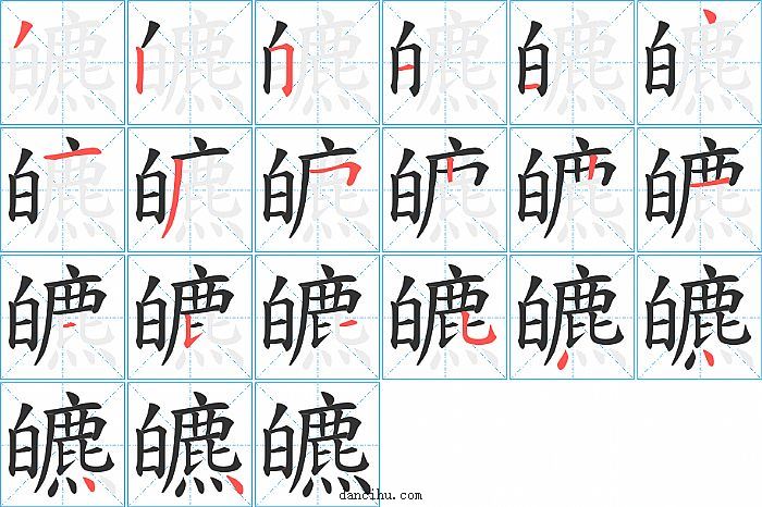 皫字笔顺分步演示图