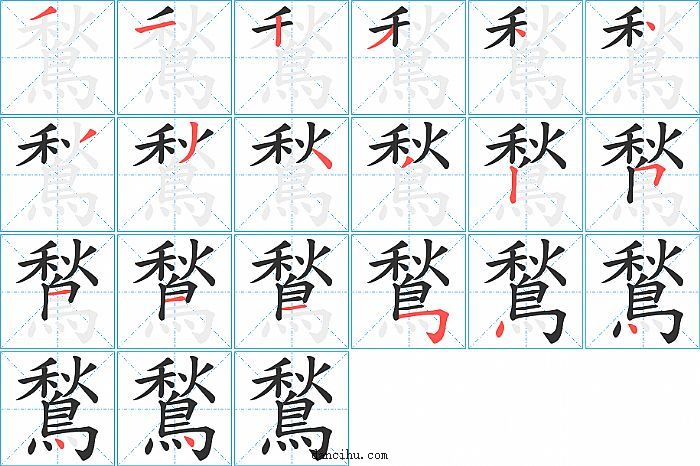 鶖字笔顺分步演示图