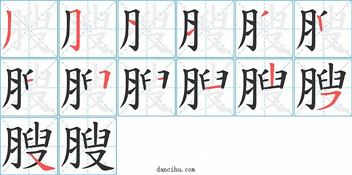 膄字笔顺分步演示图