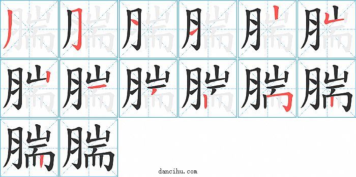 腨字笔顺分步演示图