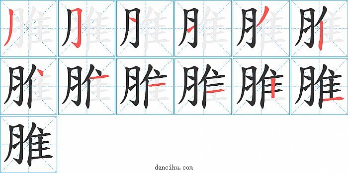 脽字笔顺分步演示图