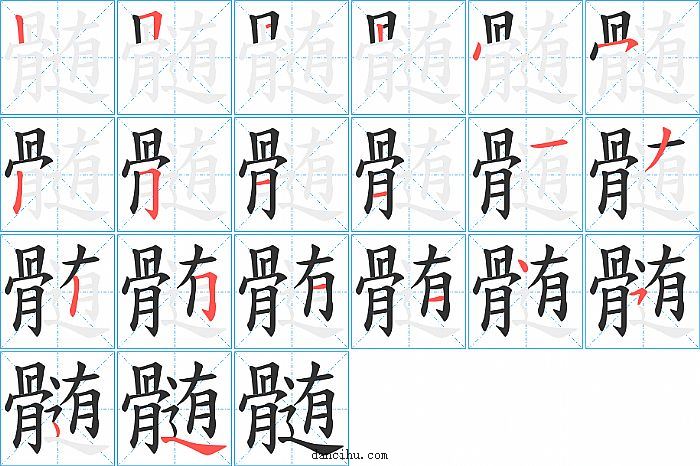 髄字笔顺分步演示图