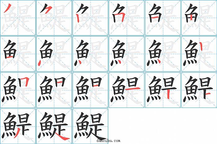 鯷字笔顺分步演示图