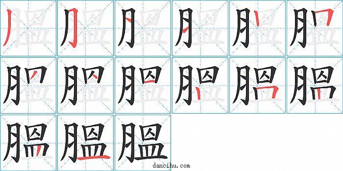 膃字笔顺分步演示图