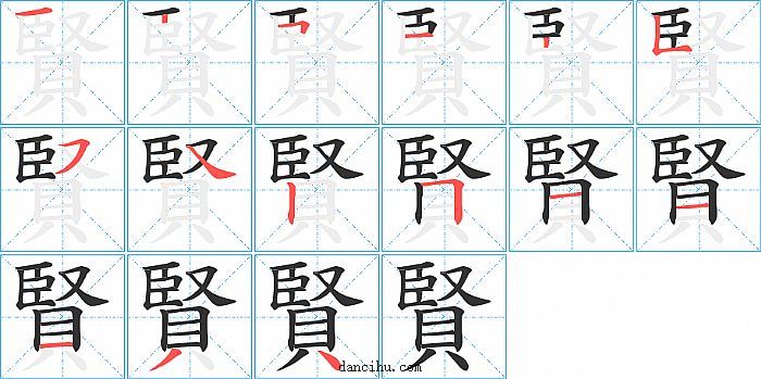 賢字笔顺分步演示图