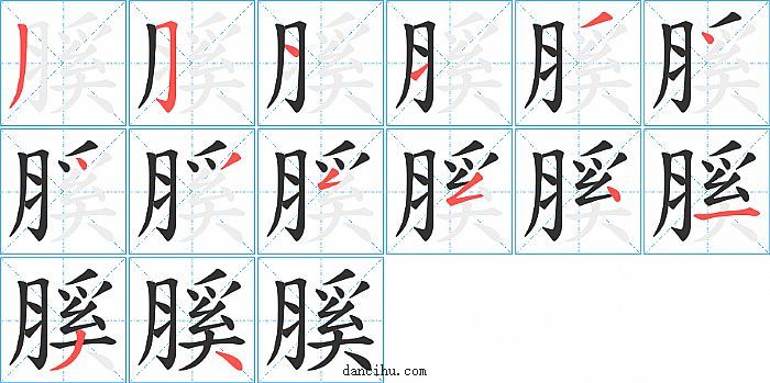 膎字笔顺分步演示图