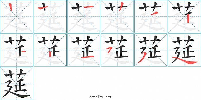 莚字笔顺分步演示图