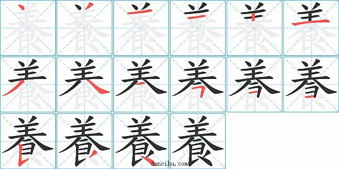 養字笔顺分步演示图