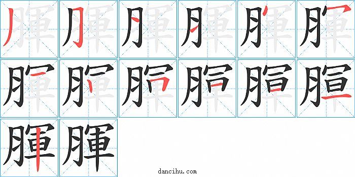 腪字笔顺分步演示图