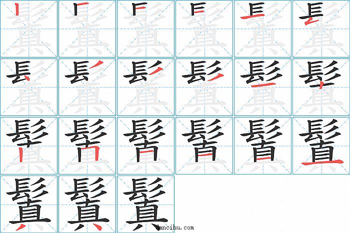 鬒字笔顺分步演示图