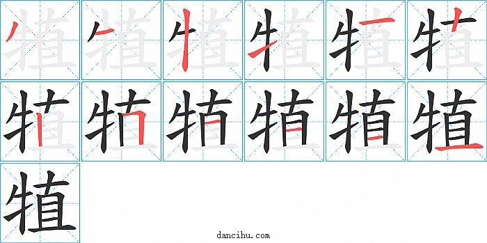 犆字笔顺分步演示图