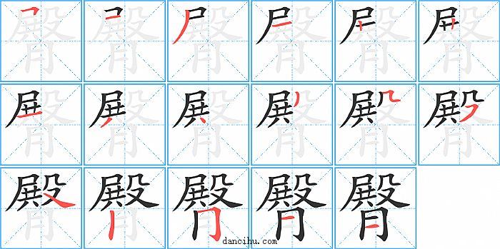 臀字笔顺分步演示图