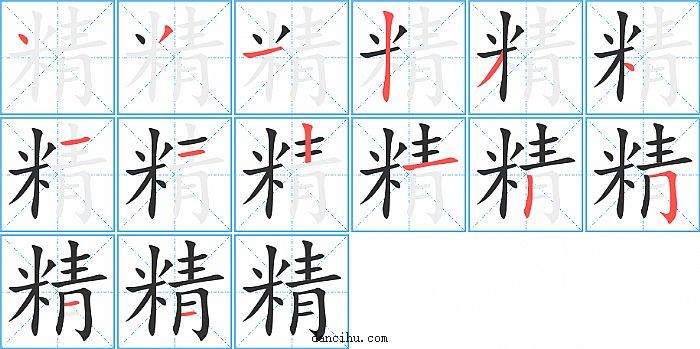 精字笔顺分步演示图