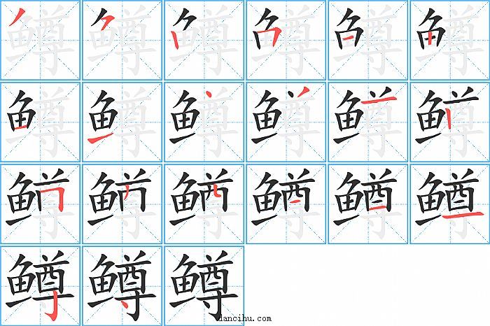 鳟字笔顺分步演示图