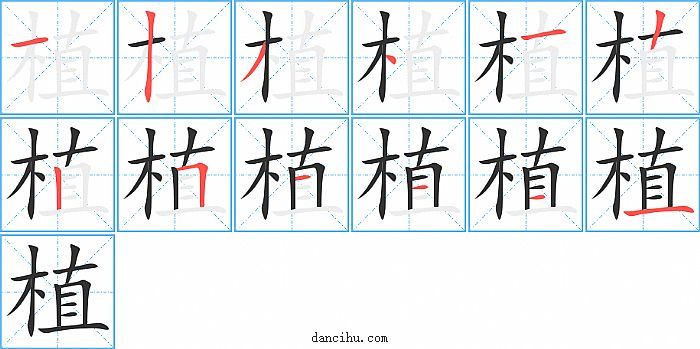 植字笔顺分步演示图