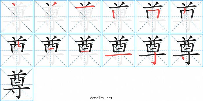 尊字笔顺分步演示图