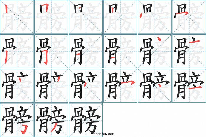 髈字笔顺分步演示图