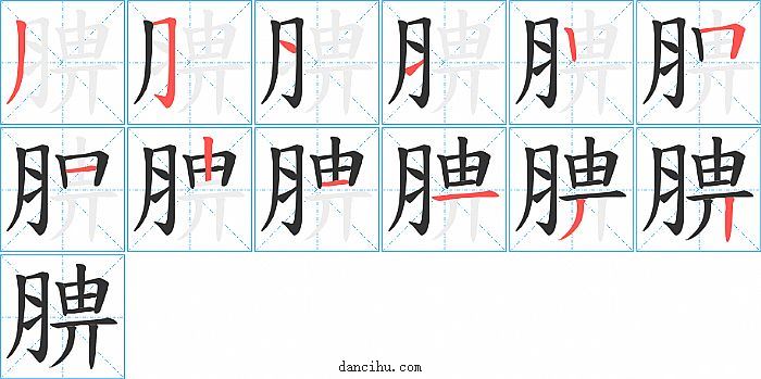 腗字笔顺分步演示图